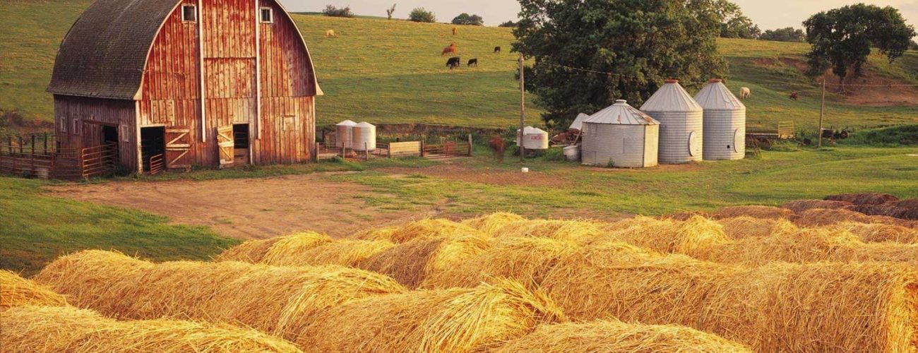 لامپ رشد گیاه چیست؟ بررسی میزان تاثیر آن